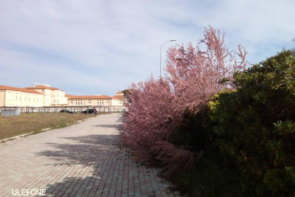 Casa Nel Parco Sulla Spiaggia Pisa Exterior foto