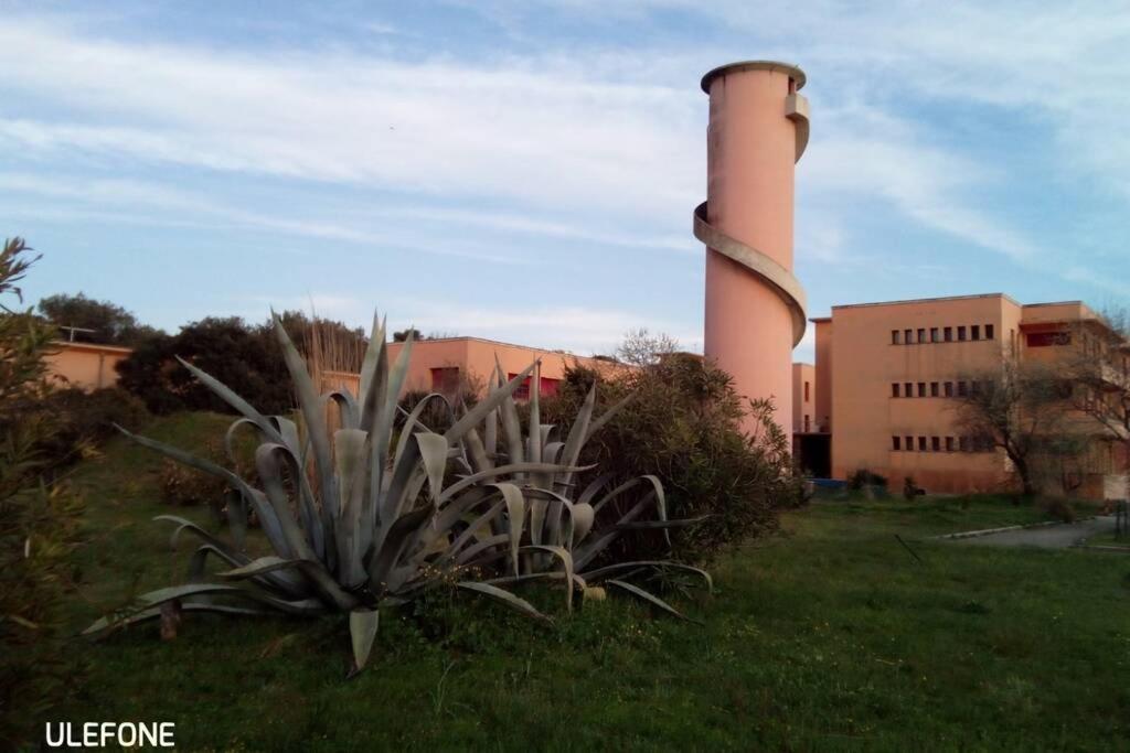 Casa Nel Parco Sulla Spiaggia Pisa Exterior foto