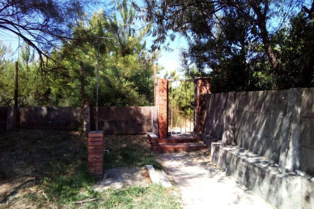 Casa Nel Parco Sulla Spiaggia Pisa Exterior foto